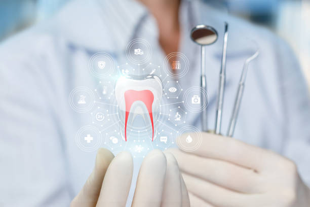 Best Preventive Dentistry  in Princevle, IL